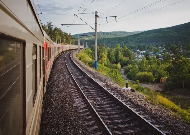 Норка, ящерица и голубь отправились со станций ЗабЖД без сопровождения хозяев в 2022 году