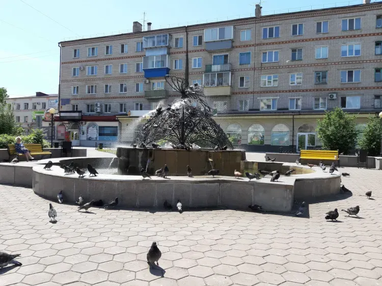 Бабочка с благовещенского фонтана "перелетит" на территорию МФЦ