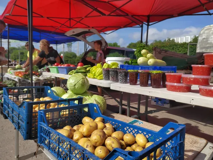 Овощи, ягоды и колбасы привезли на фермерские ярмарки в Благовещенск