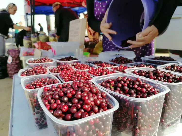 9-метровым пирогом накормят гостей брусничного фестиваля в Тынде