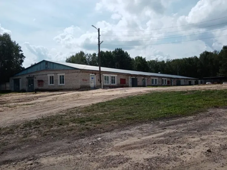 Собачий приют на 160 постояльцев открылся в Шимановске