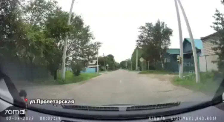 Мать мальчика, стоявшего голым на проезжей части в Уссурийске, нашли полицейские