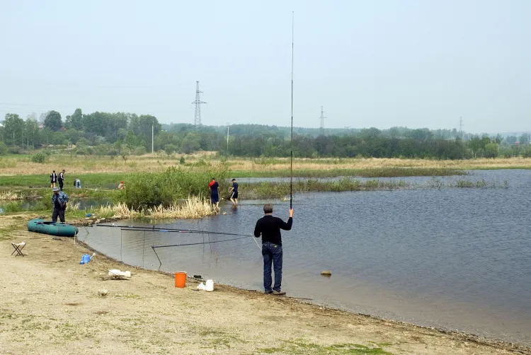 Огромные штрафы за вылов калуги и осетра заплатят амурчане 