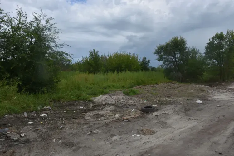 В "ловушку" попали нарушители, которые выбросили мусор в Белогорске