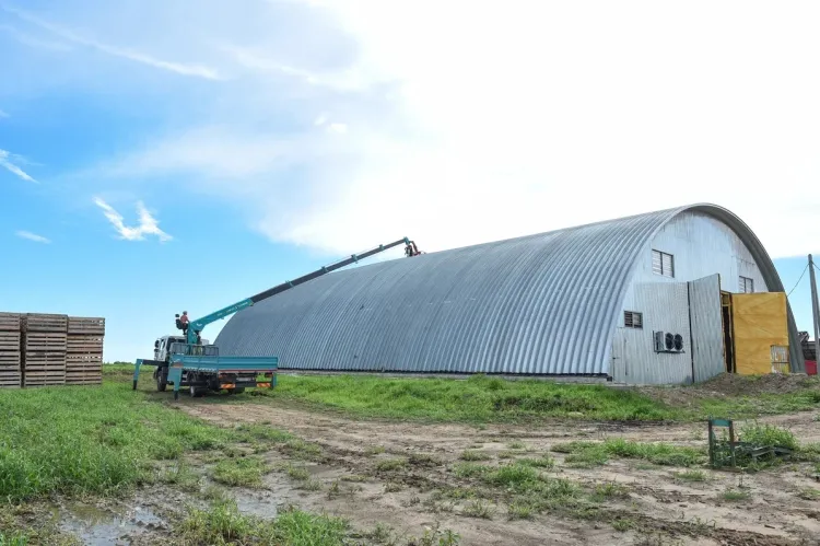 Овощи и картофель намерено сохранить в Приамурье лидирующее КФХ