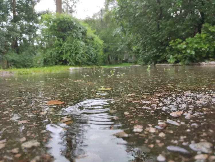 Дожди и грозы охватят Амурскую область