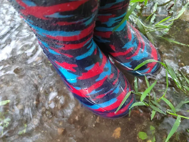 Кратковременные осадки пройдут в Амурской области