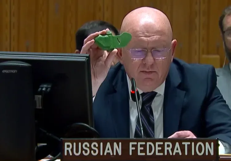 Мину "Лепесток" показал постпред РФ на заседании СБ ООН