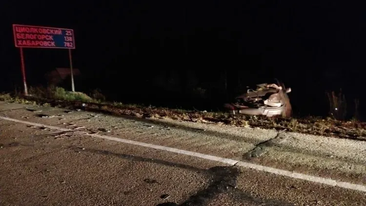 Участника смертельного ДТП с пятью погибшими задержали в Амурской области