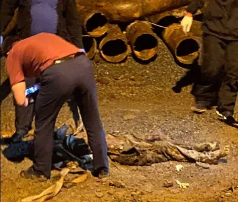 Мумифицированный труп нашли рабочие во время ремонта тепловой сети во Владивостоке