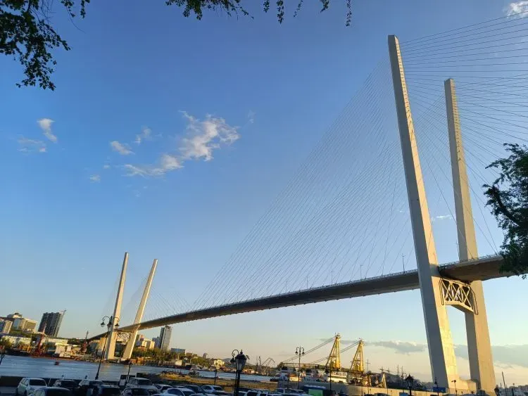 Итоги Восточного экономического форума подвел Василий Орлов