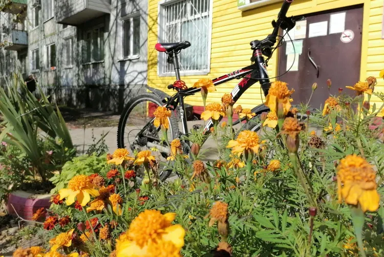 Днем в Амурской области 16 сентября переменная облачность, местами кратковременные дожди