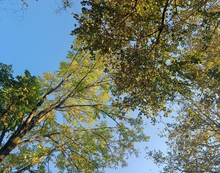 День и ночь сравняются 23 сентября