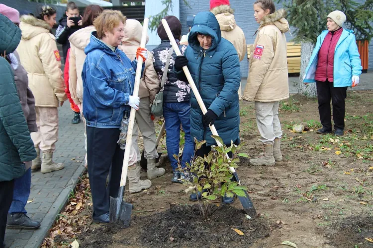 Деревья высадили возле Мемориала Славы в Свободном во время приемки
