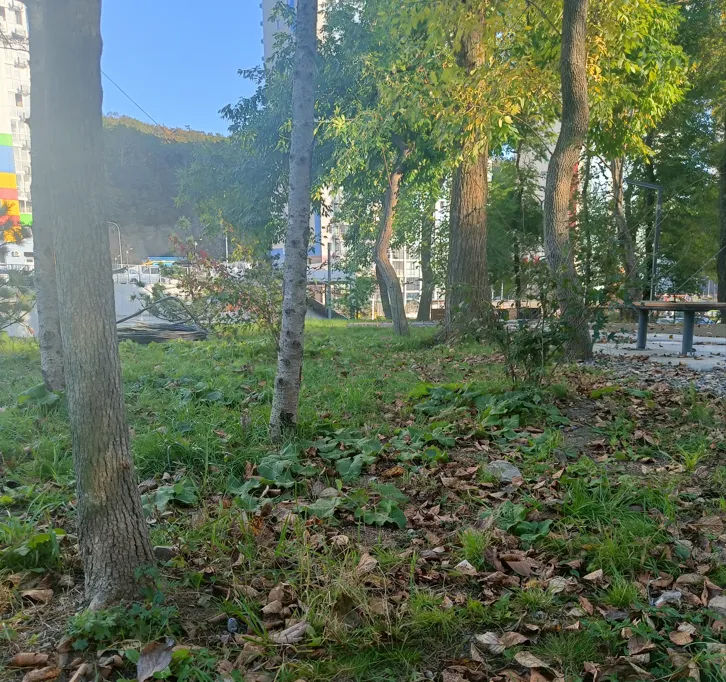 Теплый октябрь прогнозируют россиянам синоптики