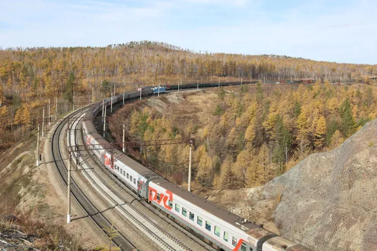 Сурикат, шиншилла и попугай отравились в путешествие на поезде без сопровождения хозяев со станций ЗабЖД в 2022 году