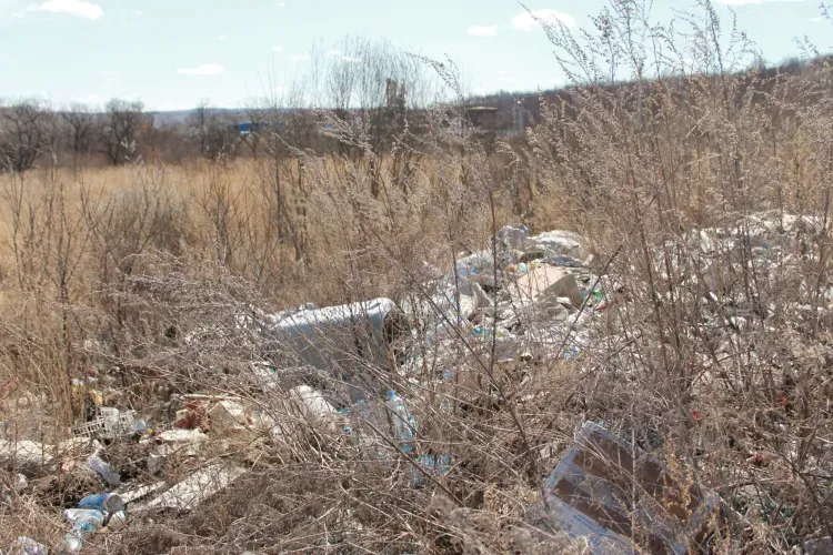 Больше фотоловушек в местах стихийных свалок призвали устанавливать в Приамурье