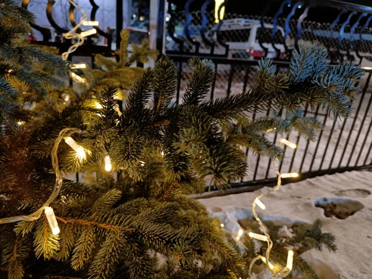 Отмену праздничных мероприятий на Новый год поддерживает каждый второй россиянин