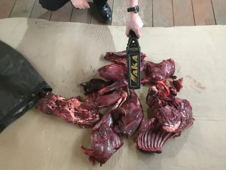 Браконьер убил самку и трех самцов косули в Зейском районе