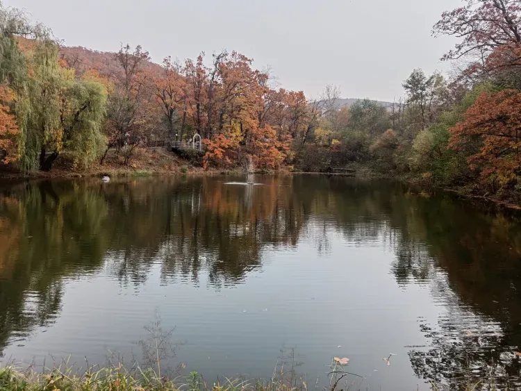 Прогнозы погоды в новых регионах России начал делать Росгидромет