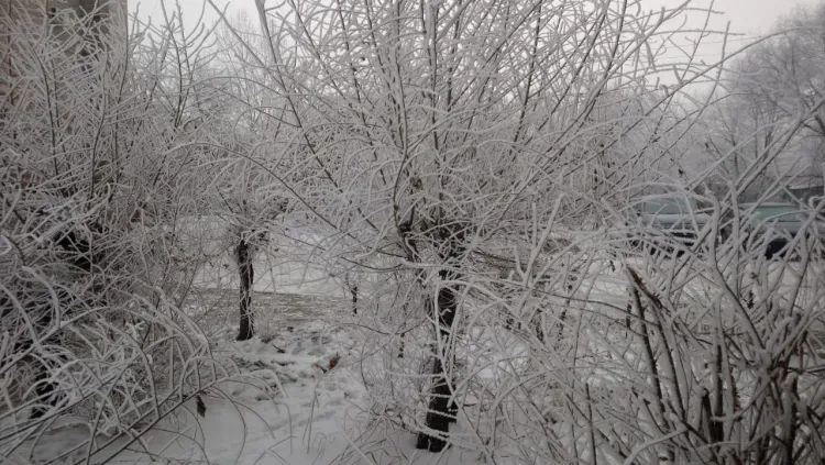 Морозный туман опустился утром на Благовещенск и закрыл вид на Китай