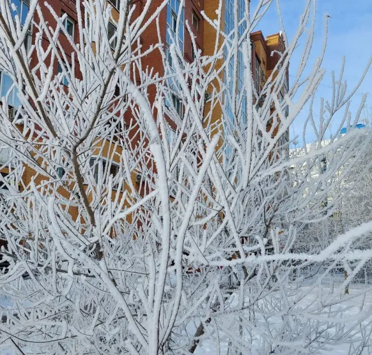 Морозный туман опустился утром на Благовещенск и закрыл вид на Китай