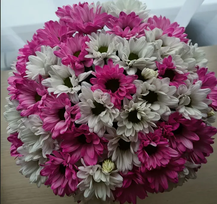 День матери: история, традиции и символ праздника