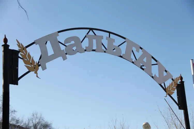 Вузы и колледжи Амурской области готовы принять студентов из новых регионов России