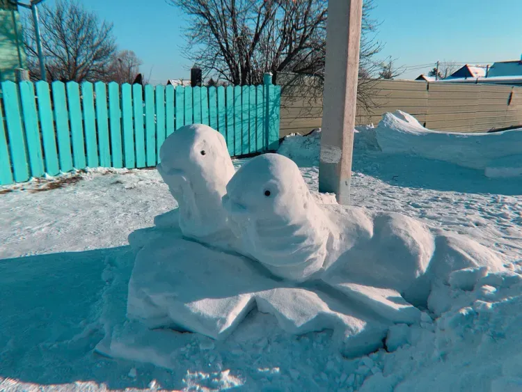 Морских животных из снега вдоль дороги вылепил житель Шимановска