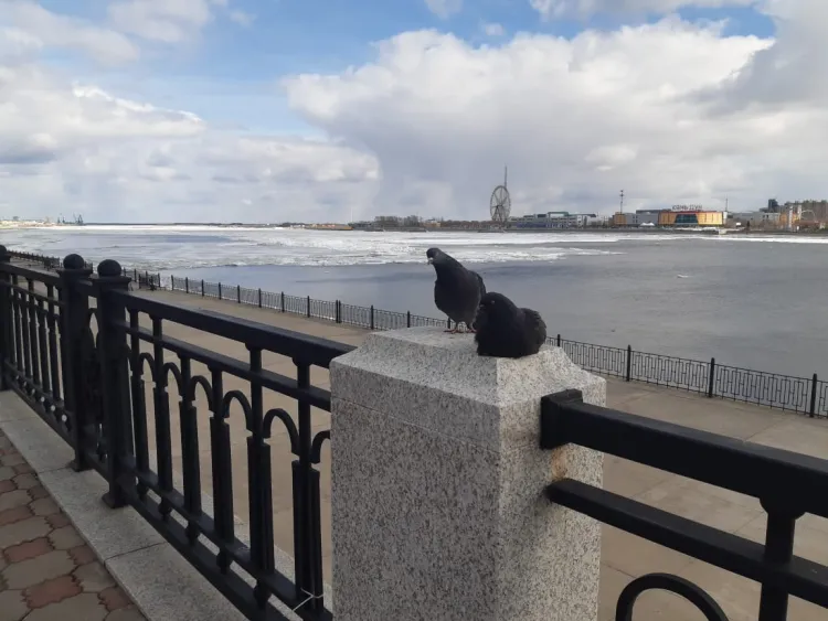 Деньги на центр "Трибуна Холл" и новые спортзалы получит Приамурье