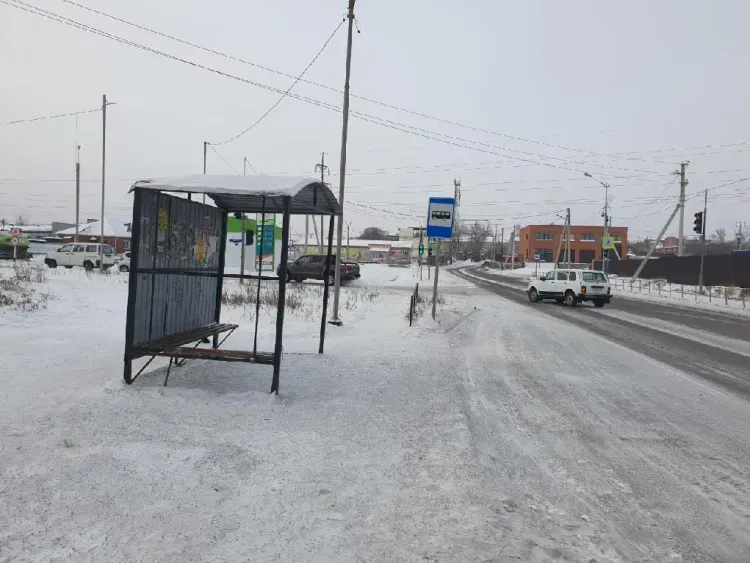 Уголовное дело завели на водителя автобуса, сбившего пенсионерку в Чигирях