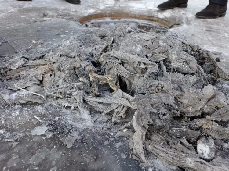 Десятки килограммов мусора за неделю извлекли из коллектора в Благовещенске