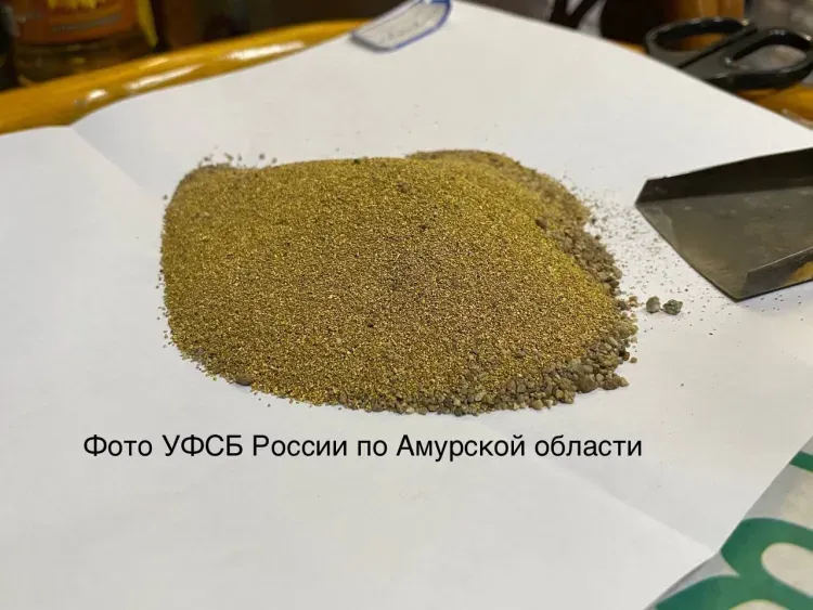 Золото на 3,8 млн рублей изъяли сотрудники ФСБ у жителя Благовещенска 