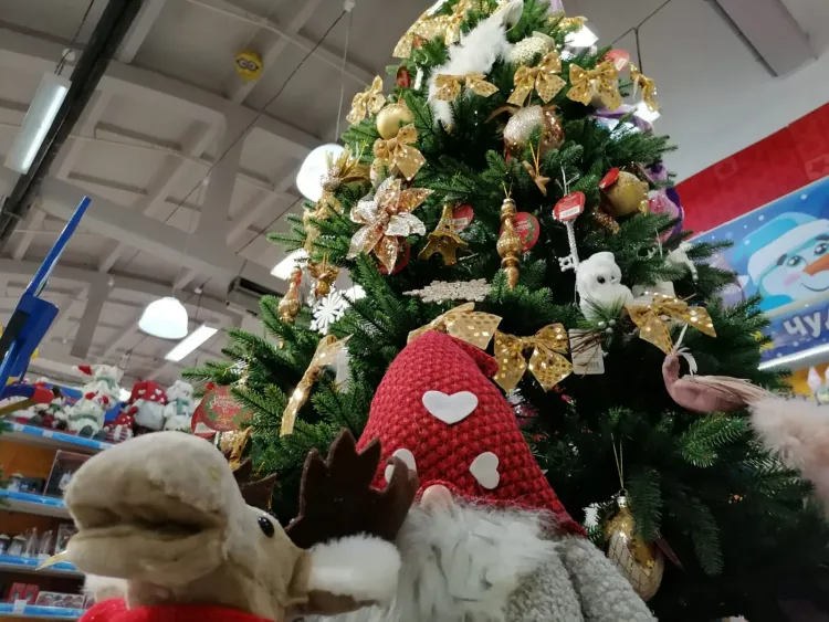 О "новогоднем" мошенничестве предупредили россиян