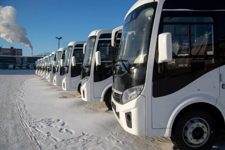Новые автобусы выйдут на улицы Благовещенска в январе