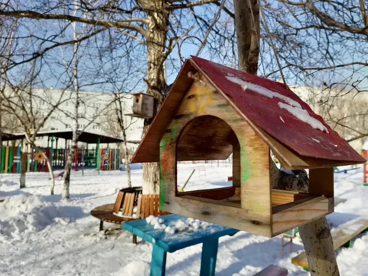 Днем по Амурской области 21 декабря переменно, преимущественно без осадков