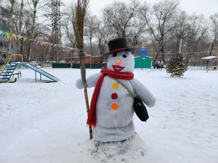В Амурской области 26 декабря без осадков, переменная облачность