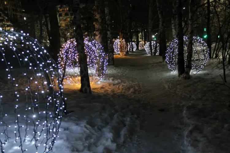 Ледовый городок в духе Петербурга открылся в Амурской области 