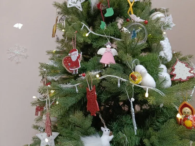 Шум от фейерверков и петард в новогоднюю ночь раздражает большинство благовещенцев