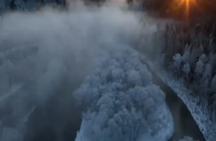 В Китае леса возле ГЭС, покрытые изморозью, стали популярным местом у туристов