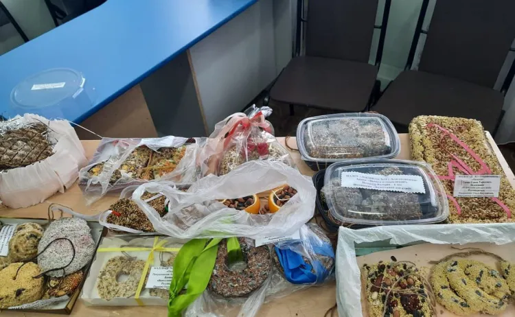 Валентинки из съедобного материала для птиц изготовили в Благовещенске