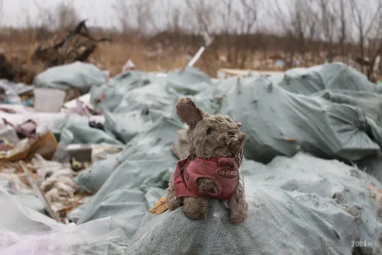 Стихийные мусорные "полигоны" ликвидировали в Благовещенском районе