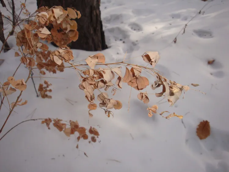 В праздник каш всяк с ложкой ходит - полный черпак семью не разгонит
