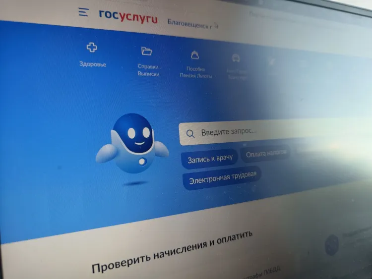 Заявление на единое пособие через "Госуслуги" подали более 230 тысяч россиян