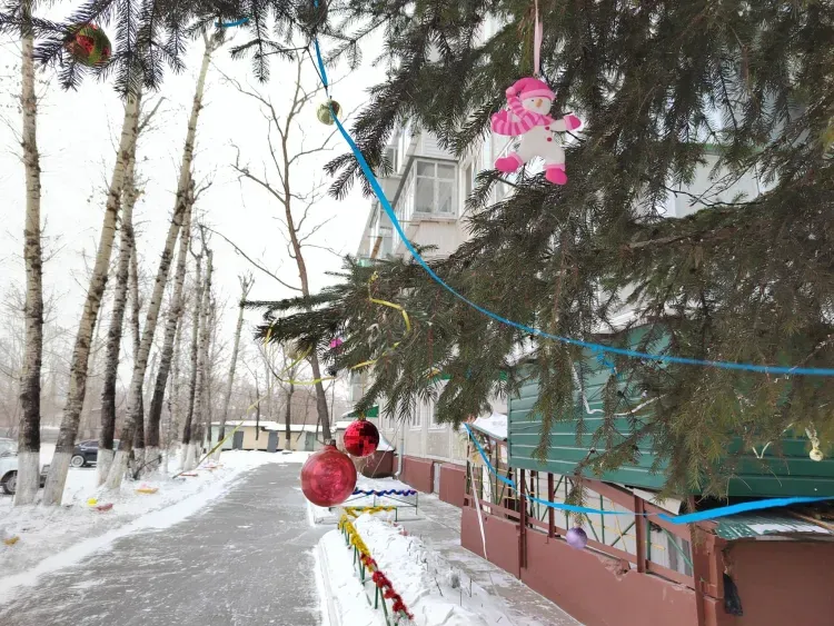 До 28 градусов мороза в Амурской области 2 января