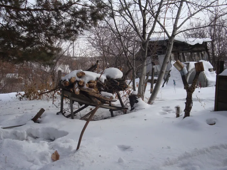 Мясное - в мясоед, но постному - свой черед