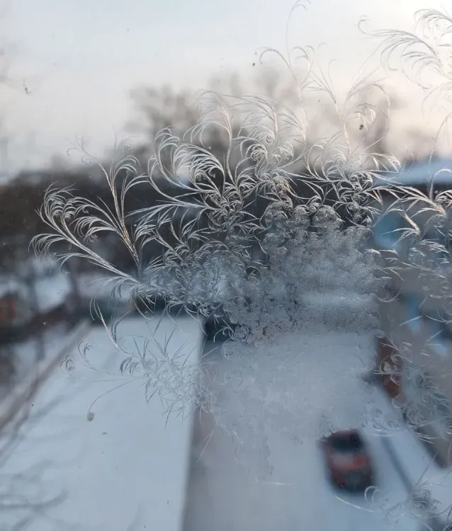 Морозы до -48 градусов установятся к концу недели в Амурской области