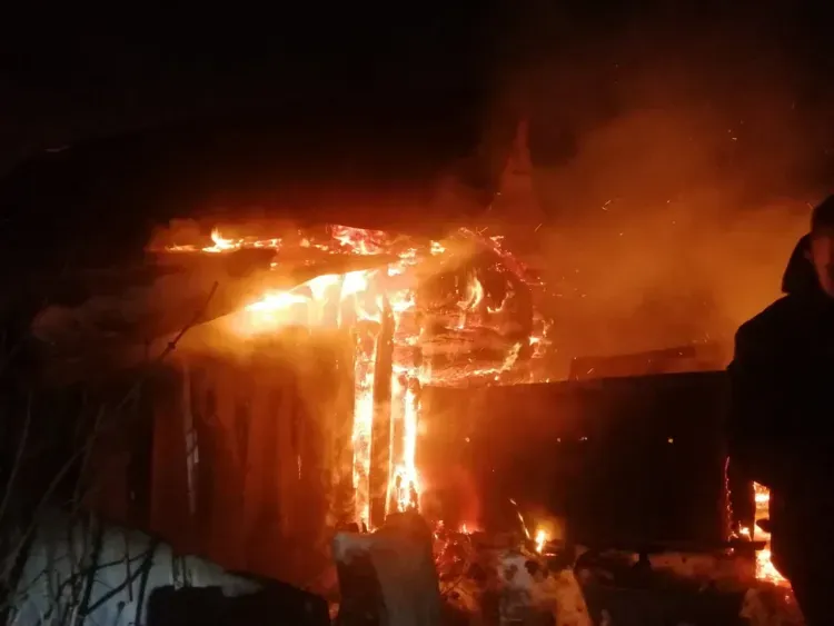 Домашняя живность погибла при пожаре в Белогорском округе