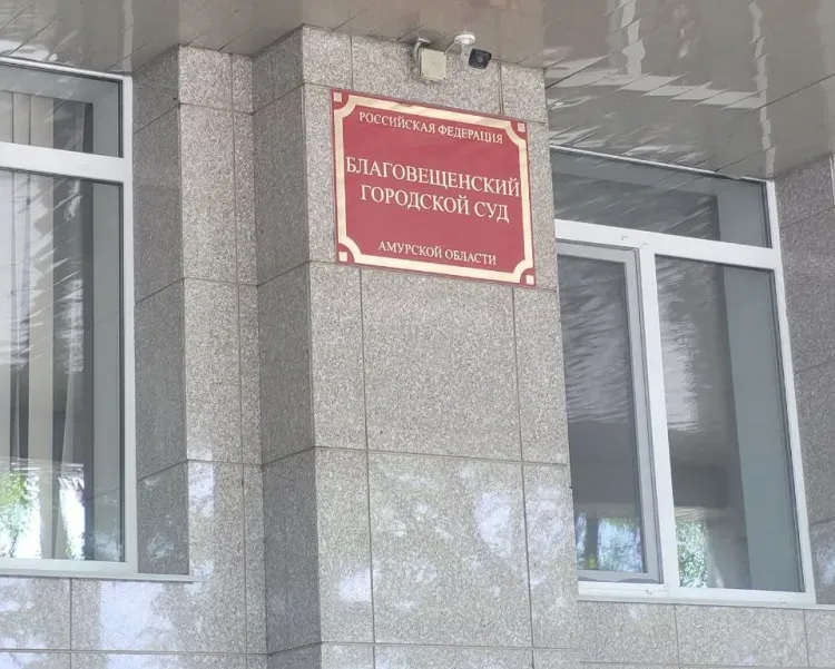 В Благовещенске осужден виновник ДТП, в котором авто отбросило на пешехода
