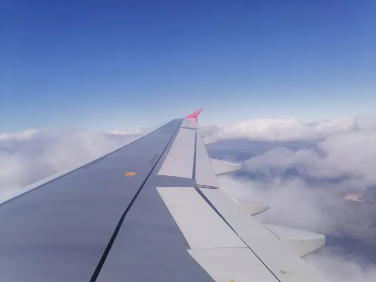 Москва и Новосибирск стали популярными городами для авиапассажиров из Приамурья